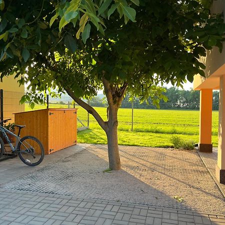 Rekreacni Dum U Jezer, Milovice 6 Villa Exteriör bild